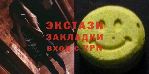 индика Покачи