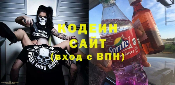 индика Покачи
