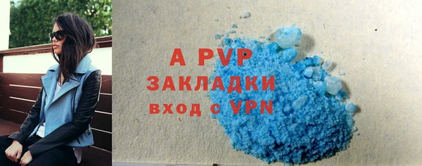 индика Покачи