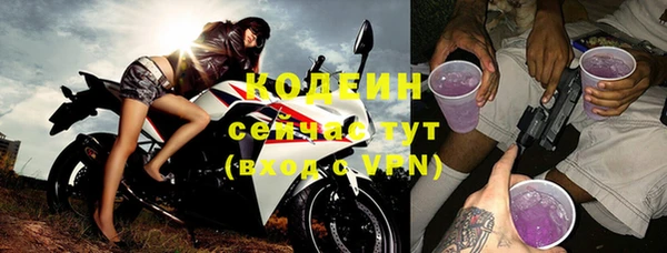 индика Покачи
